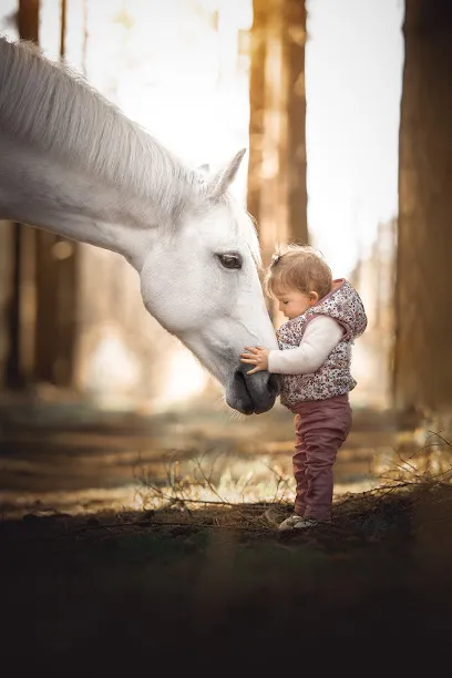 Image de Vérène Sutter Photographie