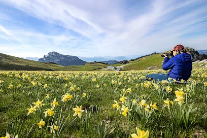 Image de Vienzy La Haut Photographe Animalier