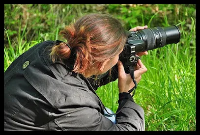 Image de www.cours-et-stages-photo.com
