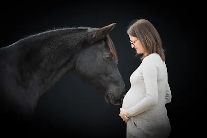 Image de Xavina Martin - Photographe animalière & lifestyle